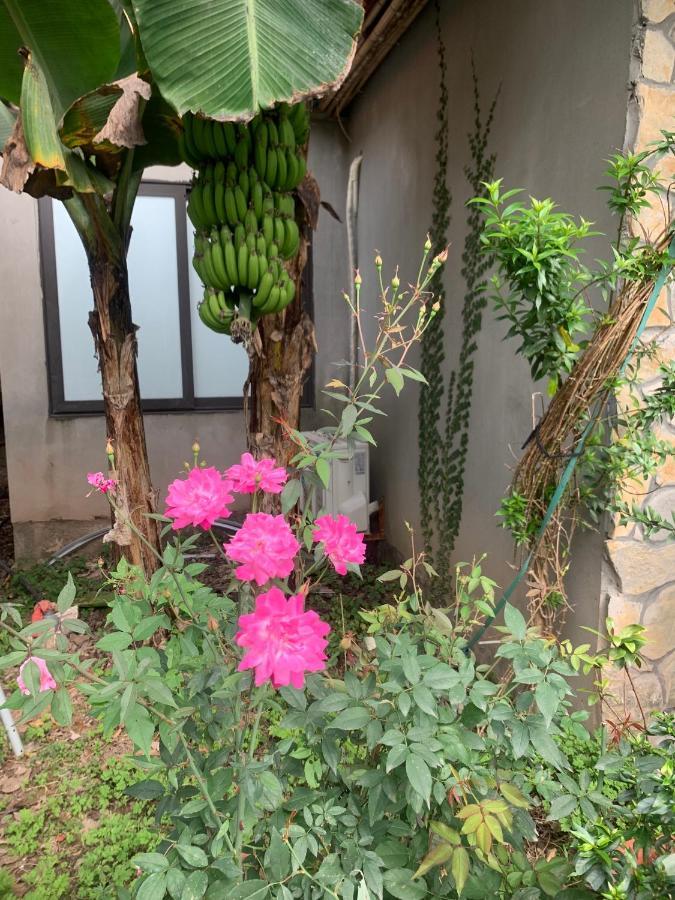 Trang An Peaceful Homestay Ninh Binh Luaran gambar
